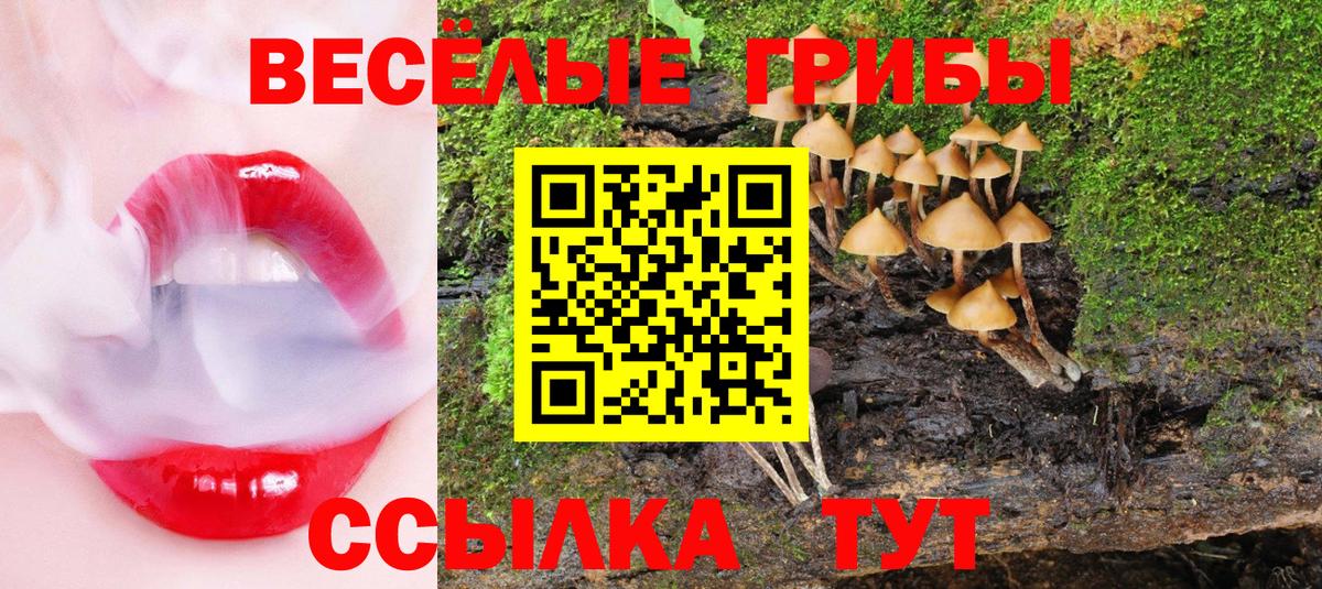 Армавир  Псилоцибиновые грибы Psilocybine cubensis  купить наркотики цена  Вход с VPN 