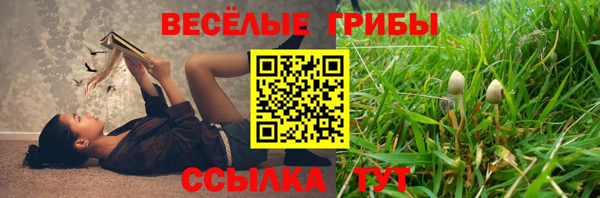 Псилоцибиновые грибы прущие грибы Армавир